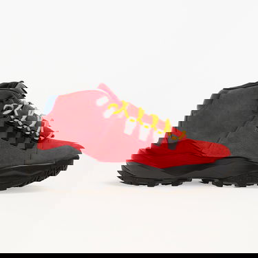 Sneakers og sko Nike Cygnal Rød | FV4332-600, 2