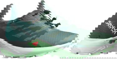 Sneakers og sko Salomon Supercross 3 GTX W Grøn | l41607400, 0