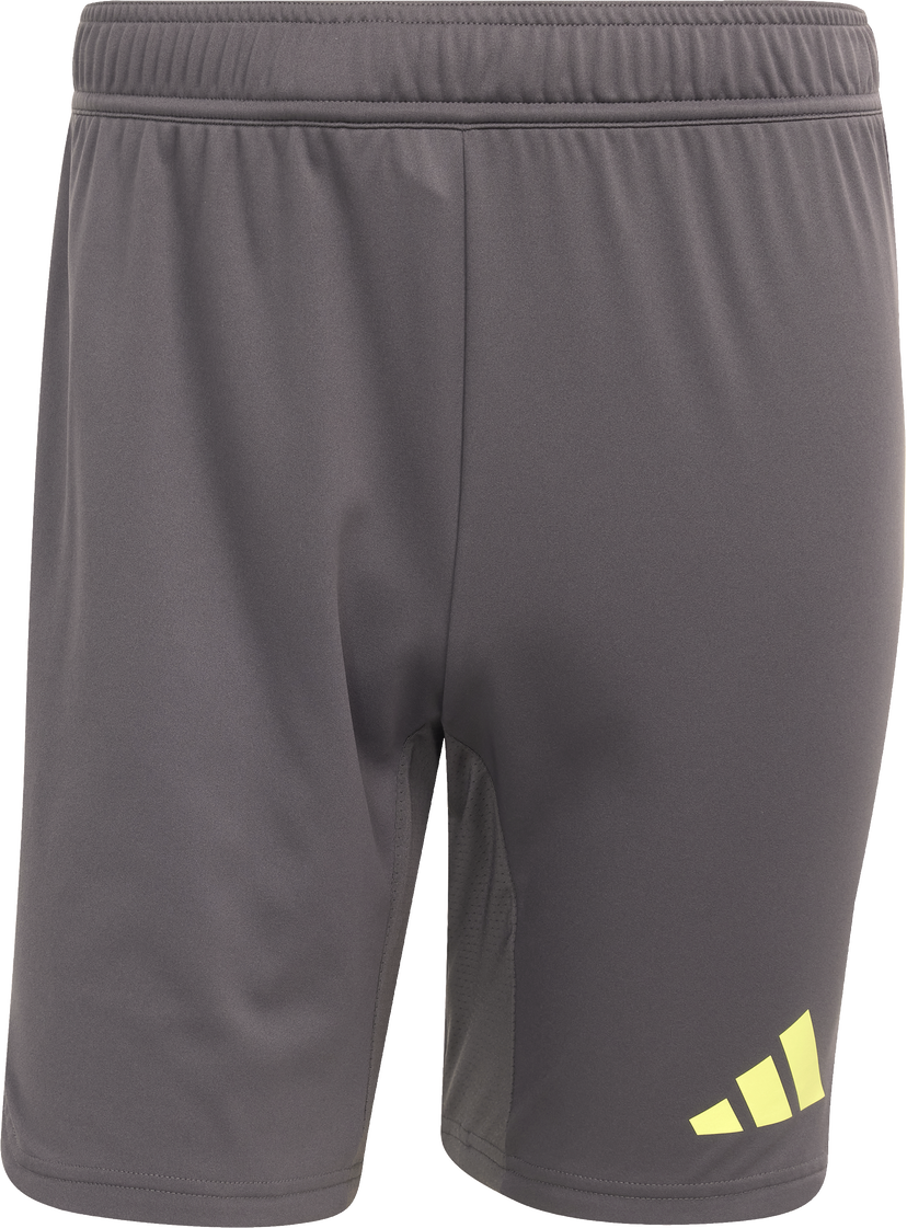 Shorts adidas Performance adidas Tiro25 Pro GK Shorts Grå | jn2012