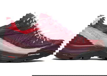 Sneakers og sko Salomon X-Alpages GTX The Broken Arm Bourgogne | L47346100, 0