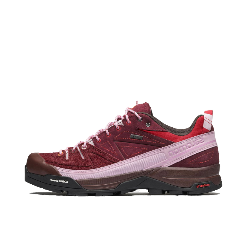 Outdoor Salomon X-Alpages GTX The Broken Arm Bourgogne | L47346100