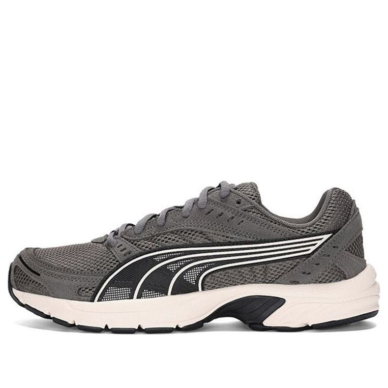 Sneakers og sko Puma Axis SD Grå | 388107-01, 0