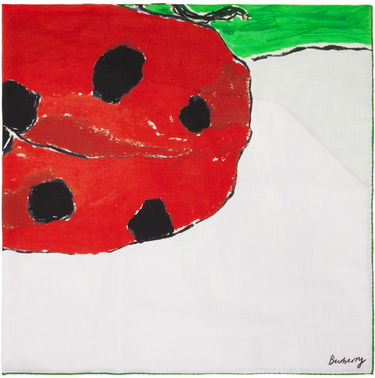Tørklæde Burberry Ladybird Cashmere Silk Scarf Grøn | 8083722, 0