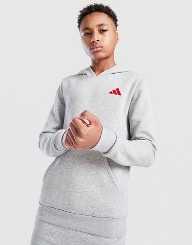 Sweatshirt adidas Originals Fleece Hoodie Grå | KC8848, 0
