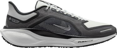 Sneakers og sko Nike Pegasus 41 GORE-TEX Sort | fq1356-002, 0