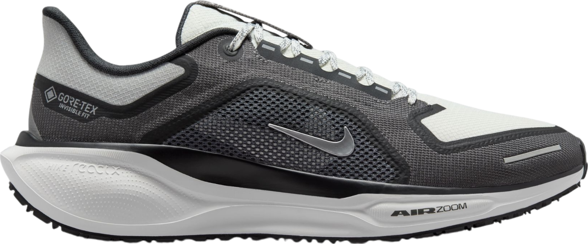 Sneakers og sko Nike Pegasus 41 GORE-TEX Sort | fq1356-002, 0