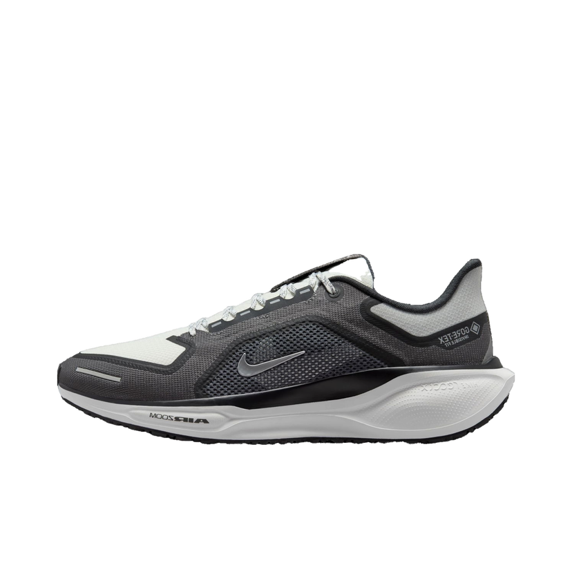 Løbe Nike Pegasus 41 GORE-TEX Sort | fq1356-002