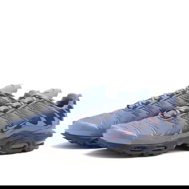 Sneakers og sko Nike Air Max Plus OG UK 6 Blå | DM0032-404, 2