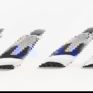 Sneakers og sko adidas Performance UltraBOOST 1.0 DNA Grå | GZ0448, 3