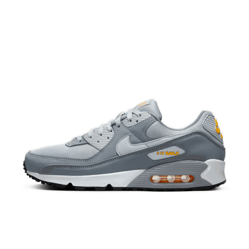 Sneakers og sko Nike Air Max 90 Grå | HV6224-002