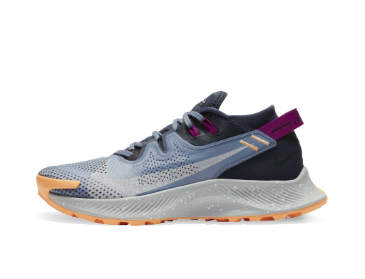 Løbe Nike Pegasus Trail 2 W Grå | CK4309-401