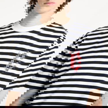 T-shirt Marcelo Burlon Marcelo Burlon County Goth Stripe Boxy T-Shirt Flerfarvet | CMAA05AS25JER0040146, 2