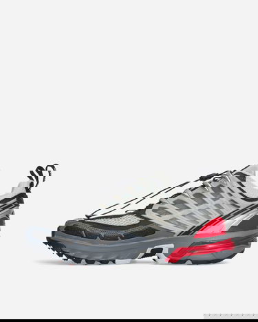 Sneakers og sko Salomon ACS Pro Advanced Grå | L41553700, 4