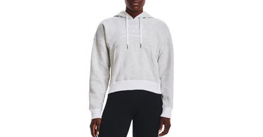 Sweatshirt Under Armour Hoodie Essential Script Grå | 1374107-100, 1