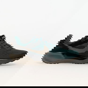 Sneakers og sko Nike Air Zoom Pegasus 41 SP Grøn | HQ6025-300, 2