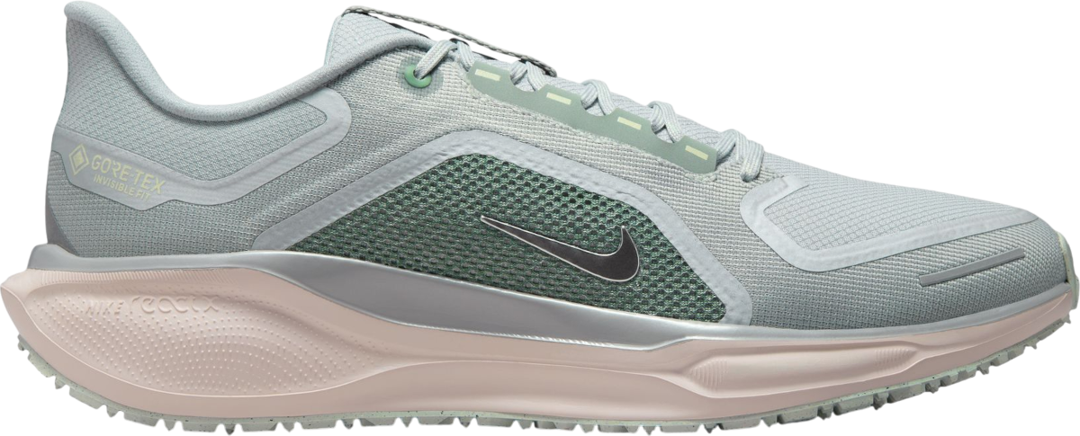 Sneakers og sko Nike Pegasus 41 GORE-TEX Flerfarvet | fq1356-007, 0