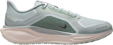 Sneakers og sko Nike Pegasus 41 GORE-TEX Flerfarvet | fq1356-007, 0