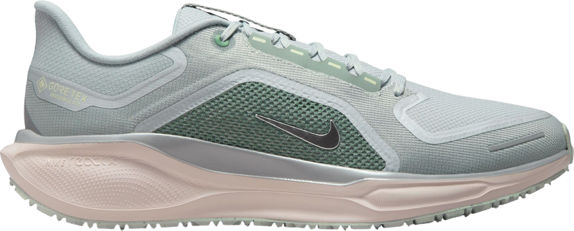 Sneakers og sko Nike Pegasus 41 GORE-TEX Flerfarvet | fq1356-007