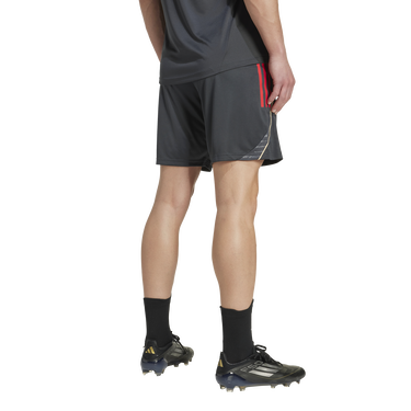 Shorts adidas Originals Olympique Lyonnais Training Shorts 2025/26 Grå | jl9410, 2