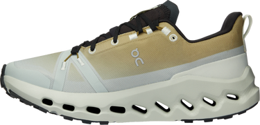 Sneakers og sko On Running Cloudsurfer Trail Waterproof Grå | 3we10292065, 3