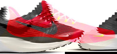 Sneakers og sko Nike Air Zoom Pegasus 39 FlyEase Rød | dj7381-600, 2