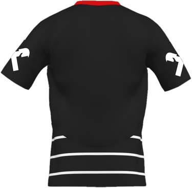 Jersey adidas Originals LASK Linz Striped Away Jersey 2024/25 Sort | askip2186s, 1