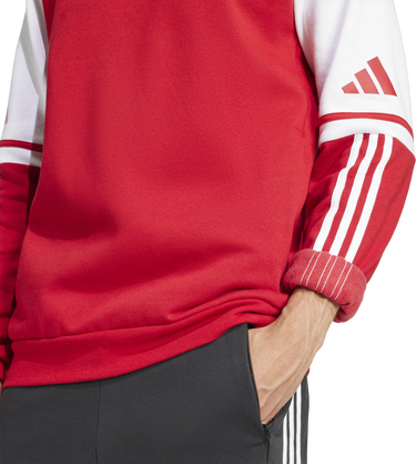 Sweatshirt adidas Originals SQ25 SW Hoodie Rød | jd2973, 1