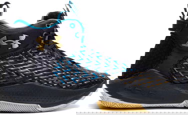 Sneakers og sko Under Armour HOVR Havoc 4 Clone IJ Sort | 3025994-002, 0
