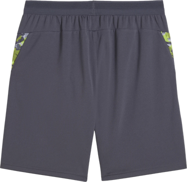 Shorts Puma individualCUP Training Shorts Sort | 659897-07, 4
