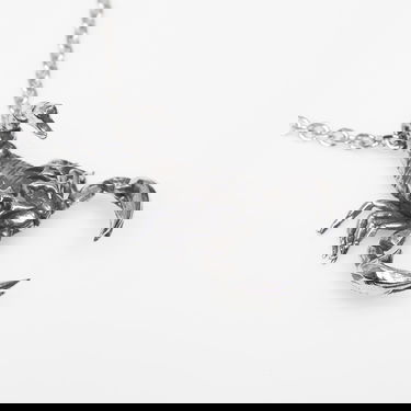 Halskæde Wasted Paris U Bane Universal Scorpion Necklace Metalisk | WP_000314, 1
