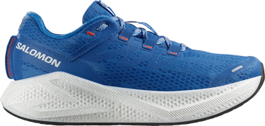 Sneakers og sko Salomon Salomon Aero Glide 3 Blå | l47810500, 0