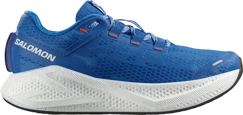 Sneakers og sko Salomon Salomon Aero Glide 3 Blå | l47810500