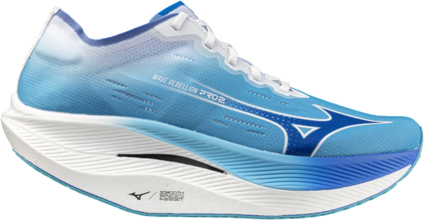 Sneakers og sko Mizuno WAVE REBELLION PRO 2 Blå | u1gd241753