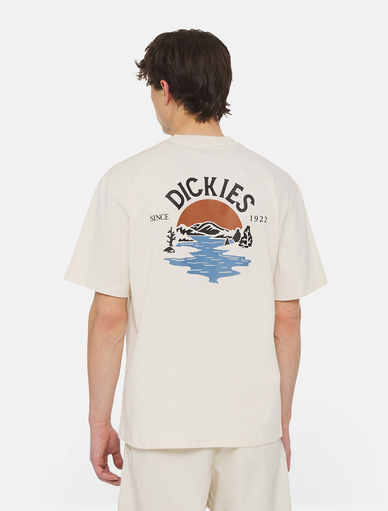 T-shirt Dickies Beach T-Shirt Beige | 0A4YRD, 0