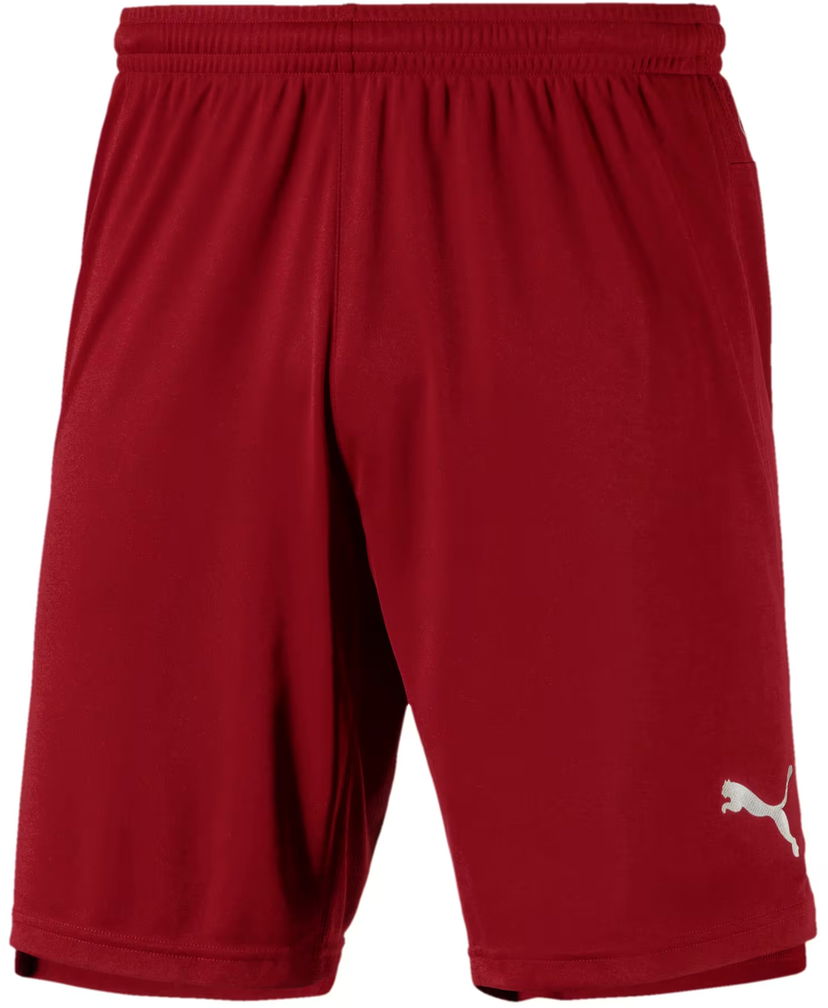 Shorts Puma Shorts Rød | 655573-002