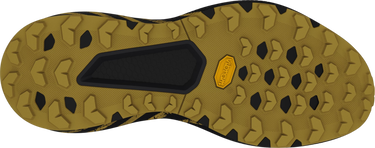 Sneakers og sko Dynafit Trail Graphic Grå | 08-0000064113-0974, 1