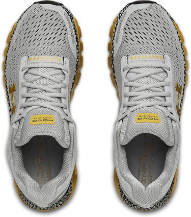 Sneakers og sko Under Armour HOVR Infinite 2 Grå | 3022587-108, 3