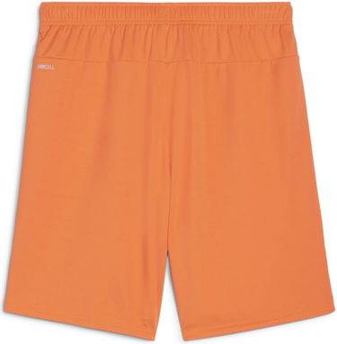 Shorts Puma teamGOAL Shorts Orange | 705752-08, 1