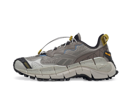 Sneakers og sko Reebok Zig Kinetica II Edge Grå | GX0117