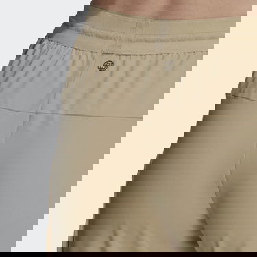 Bukser adidas Performance Terrex Cargo Pants Beige | HB4063, 3