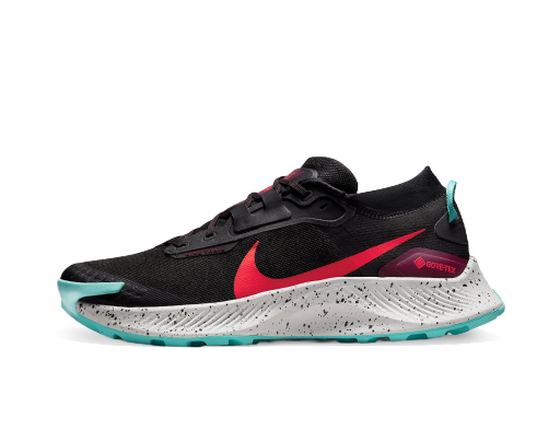Løbe Nike Pegasus Trail 3 GTX Sort | dc8793-002