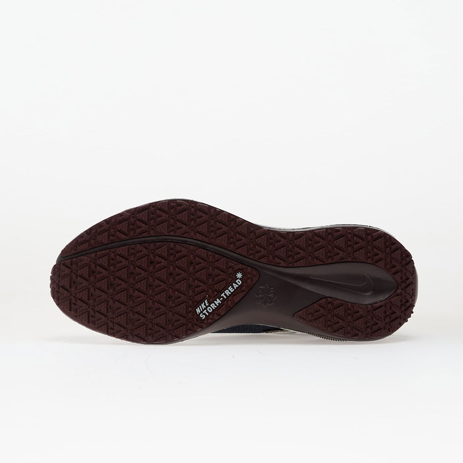 Sneakers og sko Nike Pegasus 41 Gore-Tex Mørkeblå | FQ1357-401, 1