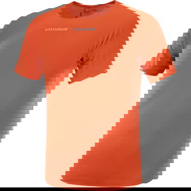 T-shirt Salomon S/Lab Speed T-Shirt Rød | LC2693500, 1