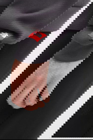 Sweatshirt The North Face RedBox Celebration Hoodie Grå | NF0A8EFZ0SA1, 3