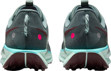 Sneakers og sko Nike Pegasus Trail 5 Flerfarvet | dv3864-302, 1
