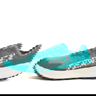 Sneakers og sko adidas Performance Terrex Agravic Speed UK 6 Turkis | JR5239, 1