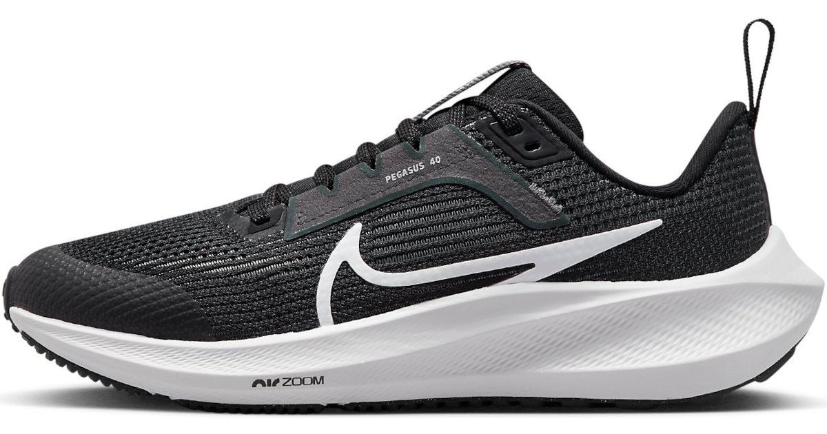 Sneakers og sko Nike Air Zoom Pegasus 40 Sort | dx2498-001, 1