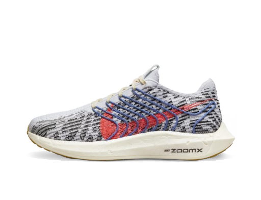 Løbe Nike Pegasus Turbo Next Nature W Grå | DM3414-002