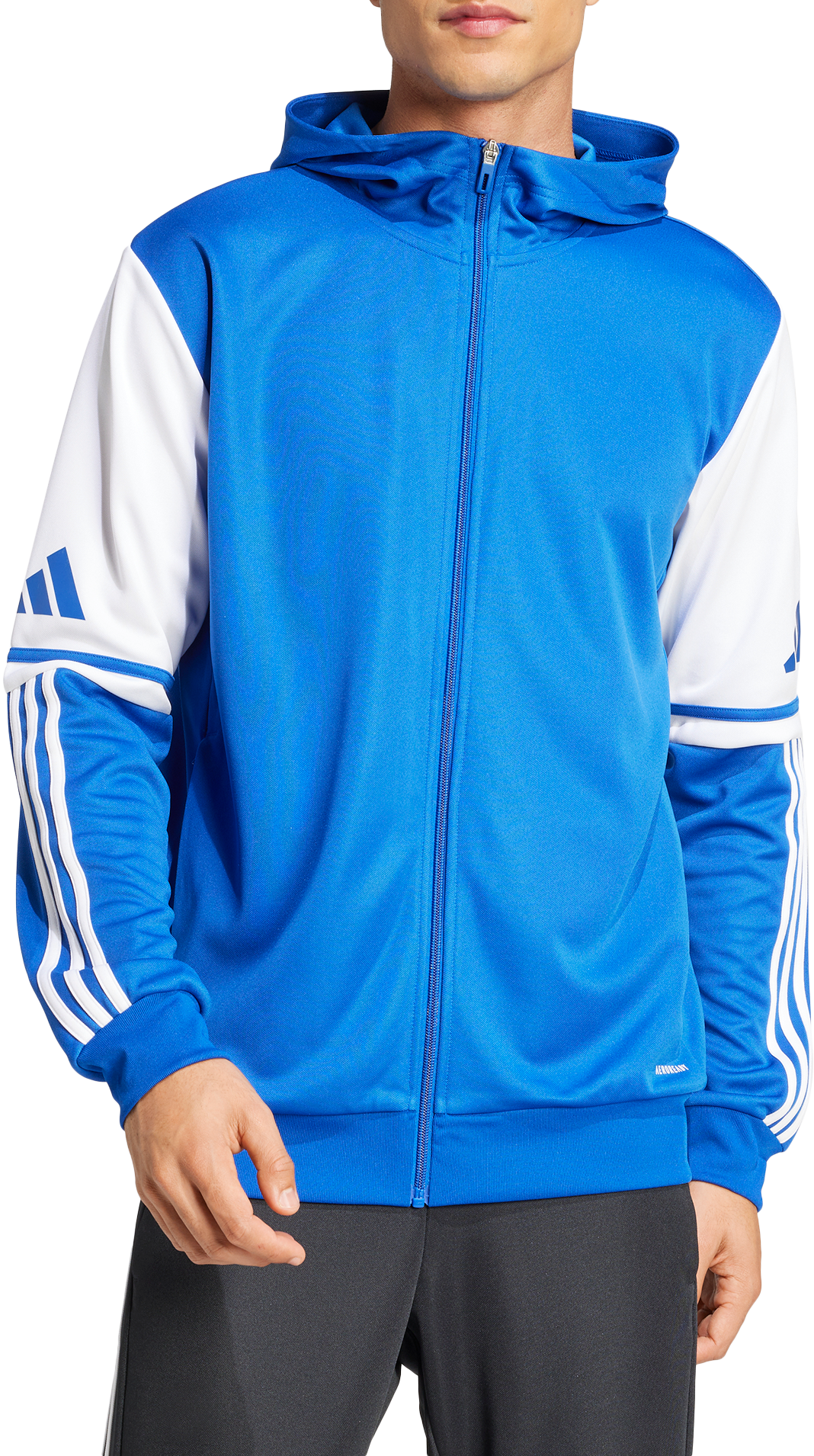 Sweatshirt adidas Originals SQ25 Hoodie Blå | jd2991, 0