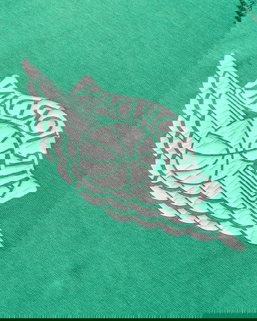 T-shirt Jordan Rare Air T-Shirt Grøn | IB3130-324, 4